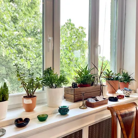 With Terrace Overlooking The Park *