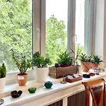 With Terrace Overlooking The Park *