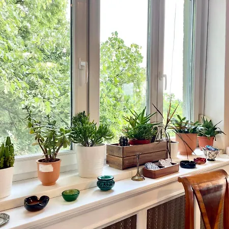 With Terrace Overlooking The Park *