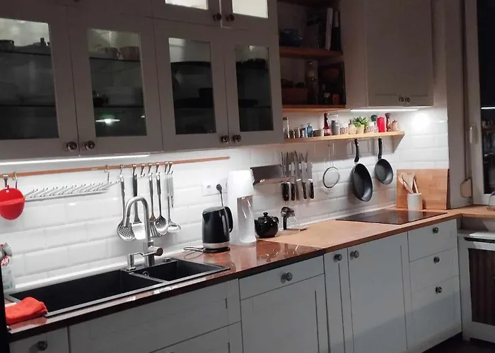 With Terrace Overlooking The Park Apartament Budapesta