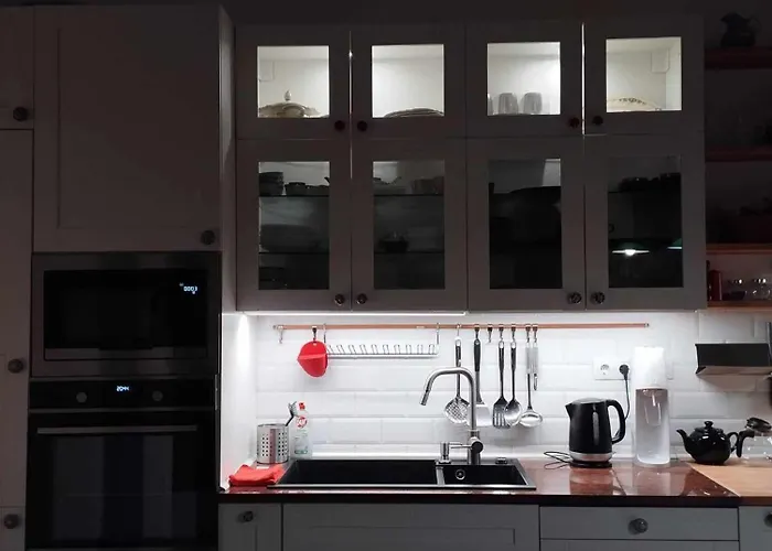 With Terrace Overlooking The Park