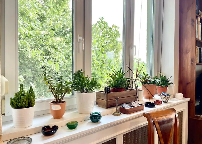 With Terrace Overlooking The Park *